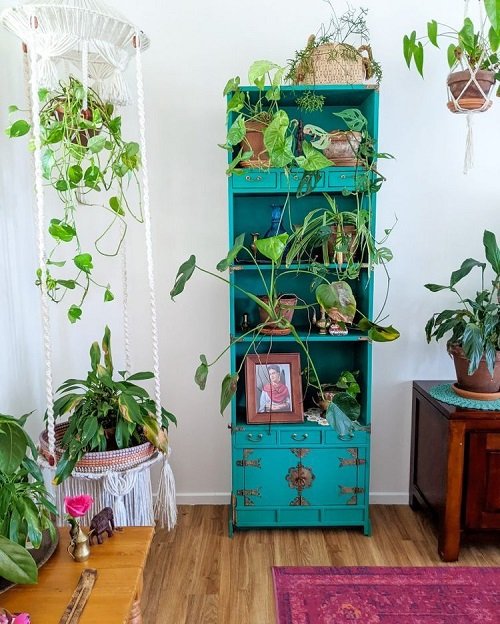Ideas to Display Plants in New and Old Furniture 3