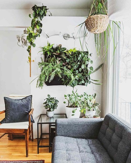 Wall Behind Sofa Decor Ideas with Plants 2
