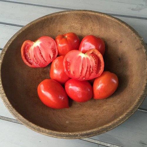 Tomatoes for Sauce 3
