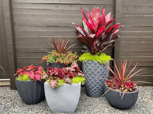 Potted Plant Landscaping