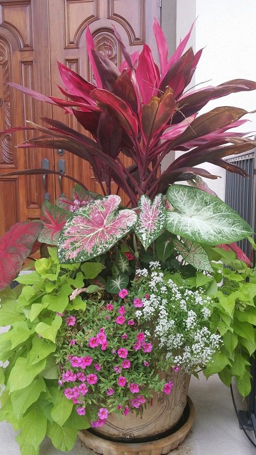 How About Mixing Different Types of Foliage Plants