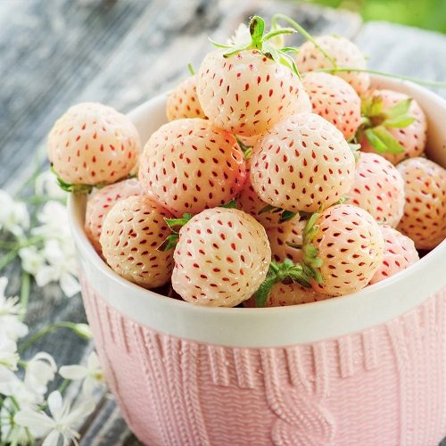 How To Grow Hula Berries 