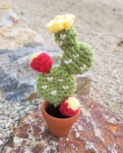 Prickly Pear Cactus with Flower Crochet
