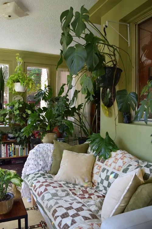 Wall Behind Sofa Decor Ideas with Plants 9