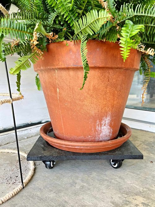 Amaazing Mobile Plant Stand Ideas 8