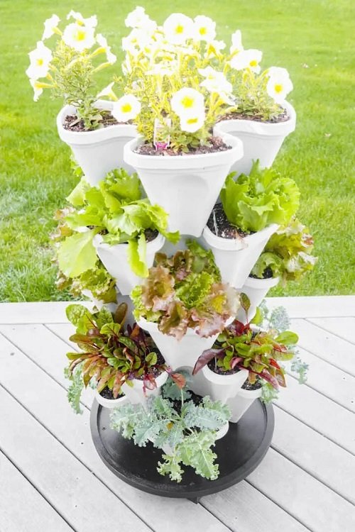 DIY Mobile Plant Stand Ideas 7