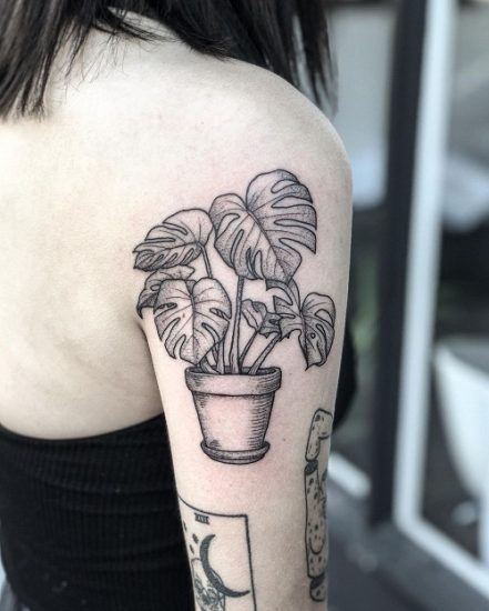 Monstera Tattoo Meaning and Ideas | Balcony Garden Web