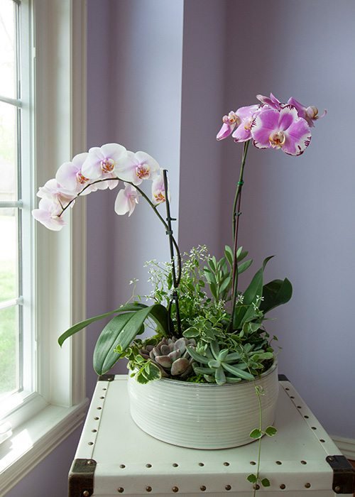 DIY Orchid Pot Ideas 3