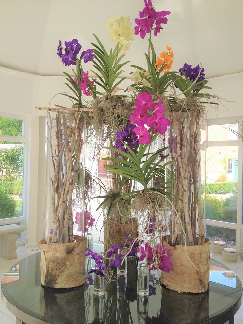 Indoor Orchid Decor Ideas 6