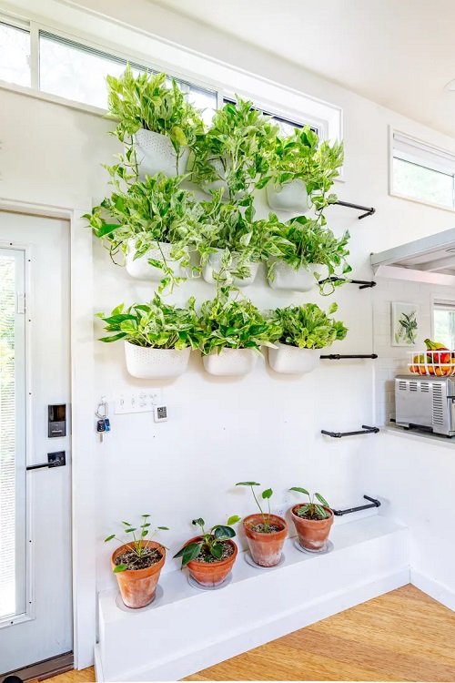 Ways to Display Pothos in Home 9