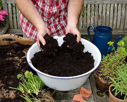 How to Recharge your Old Potting Soil 2