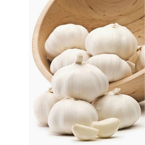 Types of Garlic 10