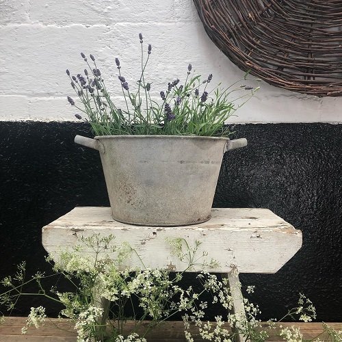 Planters with Lavender Ideas 11