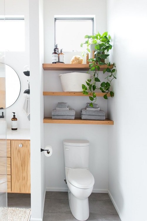 Plants Around Toilet Seat in the Bathroom 25