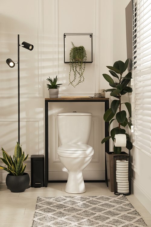 Plants Around Toilet Seat in the Bathroom 30