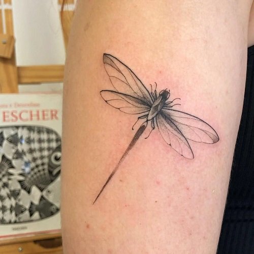 Tattify Dragonfly Temporary Tattoo - Keep Flying (Set of 2) - Walmart.com