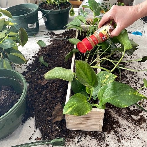 Unconventional Gardening Tricks 5