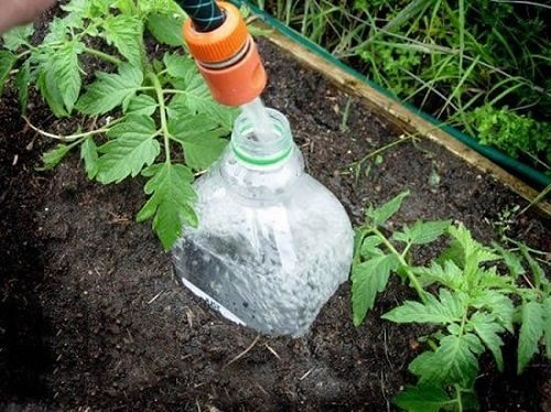 Unconventional Gardening Tricks 41