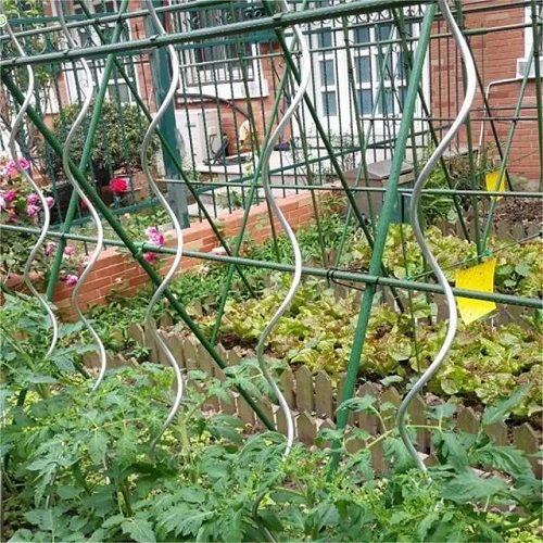 Unique Ways to Grow Cucumbers 13