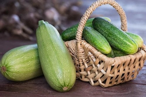 Zucchini vs. Cucumber