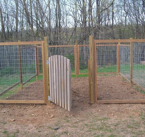 Vegetable Garden Fence Ideas 9