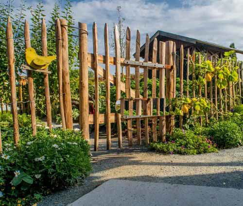 Vegetable Garden Tall Wooden Fence Ideas