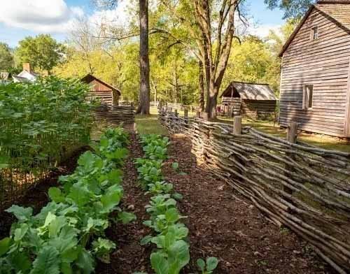 Vegetable Garden Fence Ideas 3