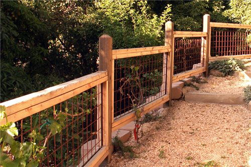 Vegetable Garden stepping Fence Ideas