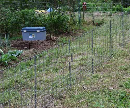Vegetable Garden Fence Ideas 7