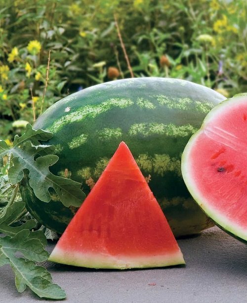 Sweetest Watermelon Varieties 2