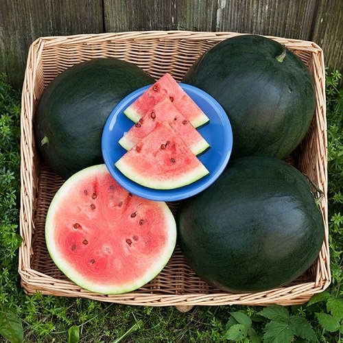 Sweetest Watermelon Varieties 8