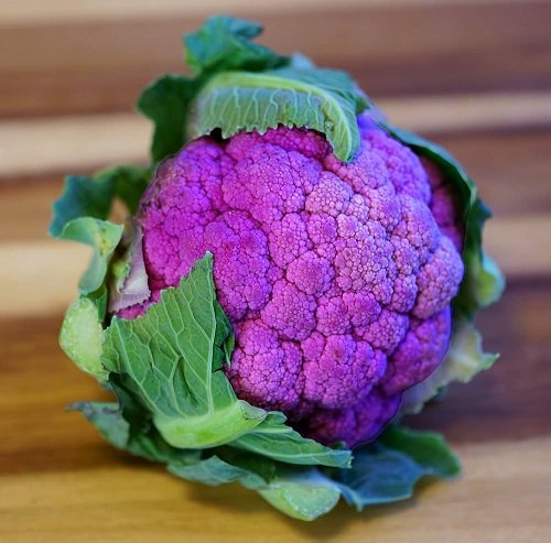 Purple Cauliflower 18