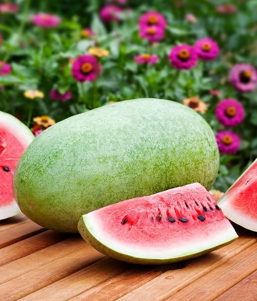 Sweetest Watermelon Varieties 4