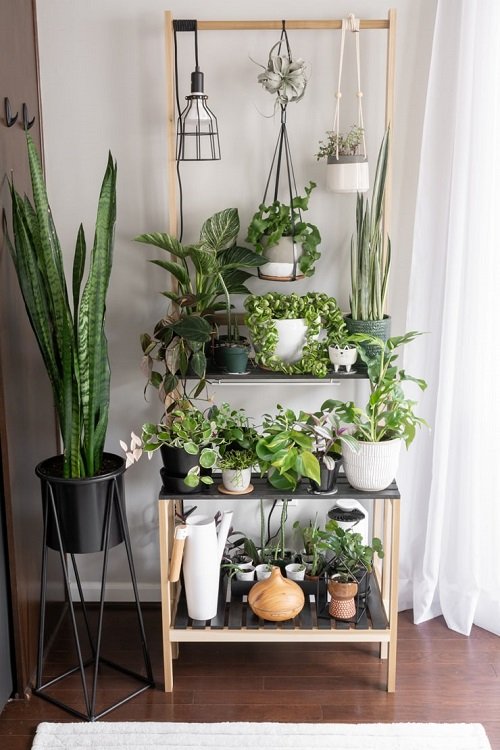 Indoor Plant Stands for Multiple Plants 5