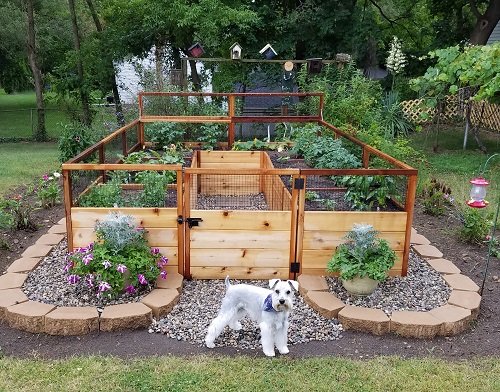 DIY Dog Fence Ideas 3
