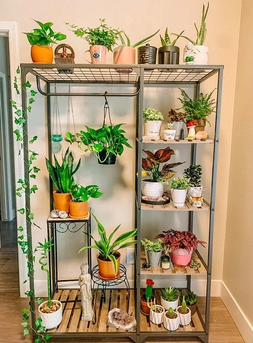 Indoor Plant Stands for Multiple Plants 1