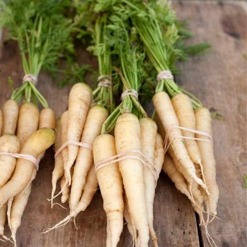 White Carrot Varieties 4