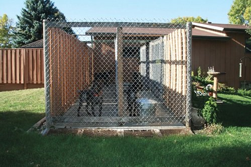 DIY Dog Fence Ideas 7