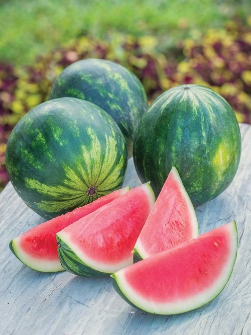 Sweetest Watermelon Varieties 14