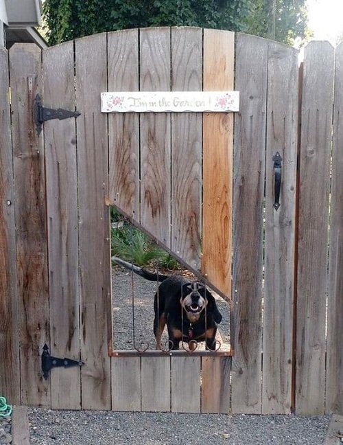 DIY Dog Fence Ideas 13