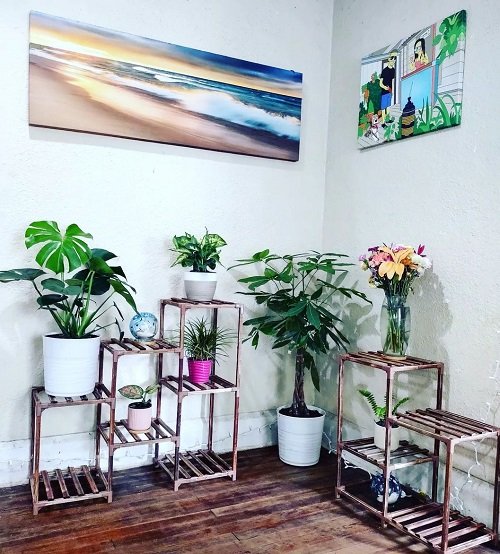 Indoor Plant Stands for Multiple Plants 21