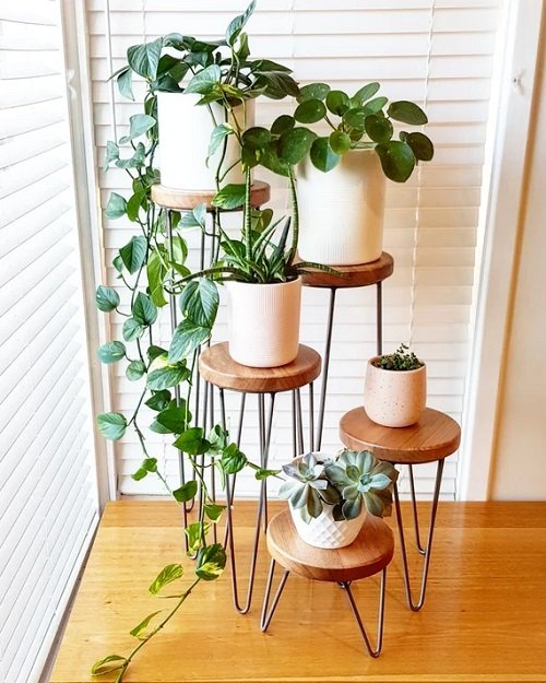 Indoor Plant Stands for Multiple Plants 19