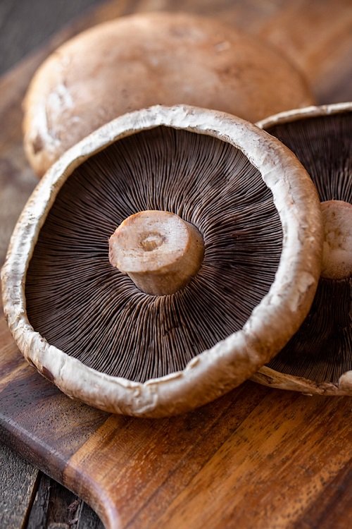Portobello Mushrooms 2