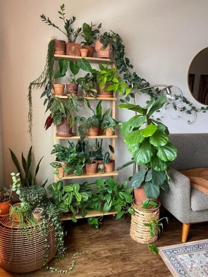 25 Indoor Plant Stands Ideas for Showcasing Multiple Plants | Balcony ...