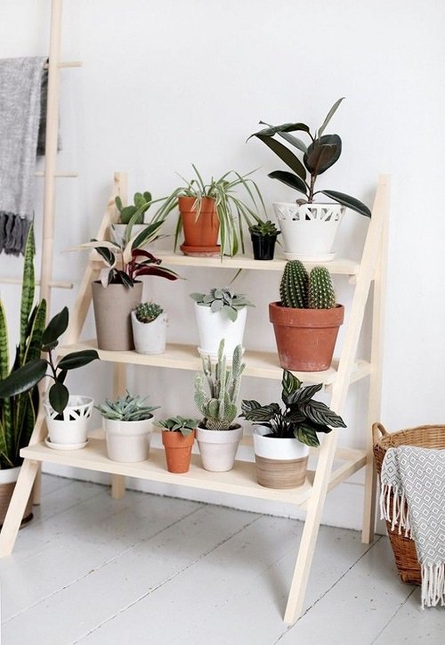 Indoor Plant Stands for Multiple Plants 11