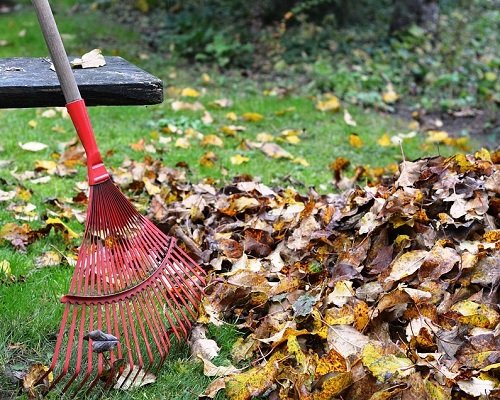Things to Do with Fallen Leaves in Fall