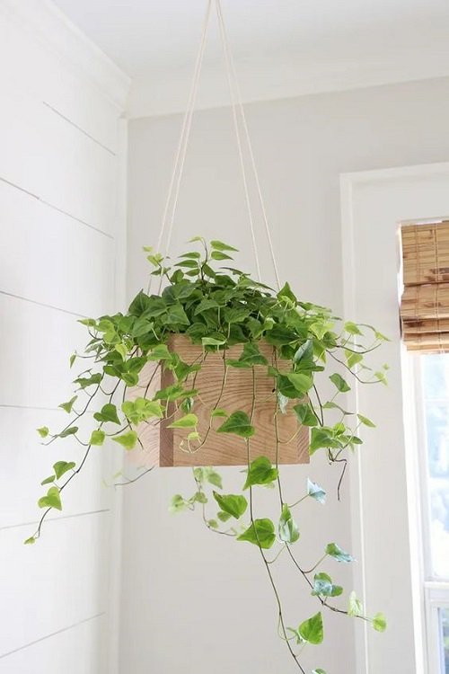 DIY Pothos Hanging Basket and Hanger 17
