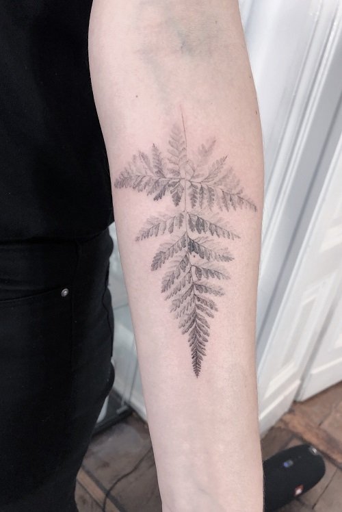 Very delicate fern for Chelsea - Dolly's Skin Art Tattoo Kamloops BC