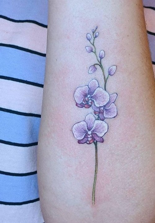 Orchid Tattoo 27