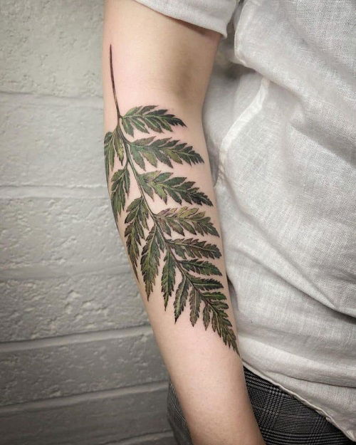 Large Fern Arm Piece tattoo